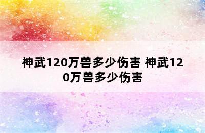 神武120万兽多少伤害 神武120万兽多少伤害